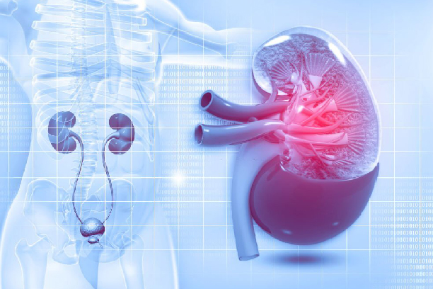 Urology at Metro Health
