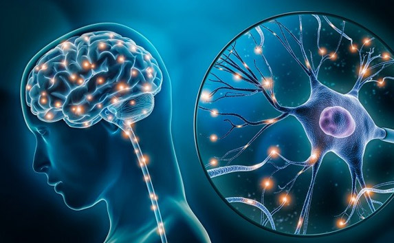 Neurology & Neurosurgery at Metro Health
